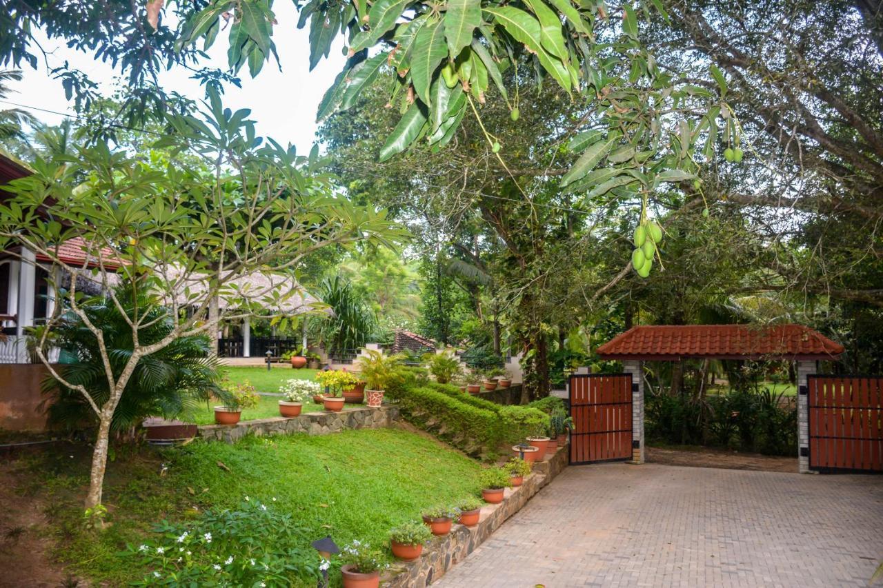 Goyambokka Guesthouse Tangalle Exterior foto
